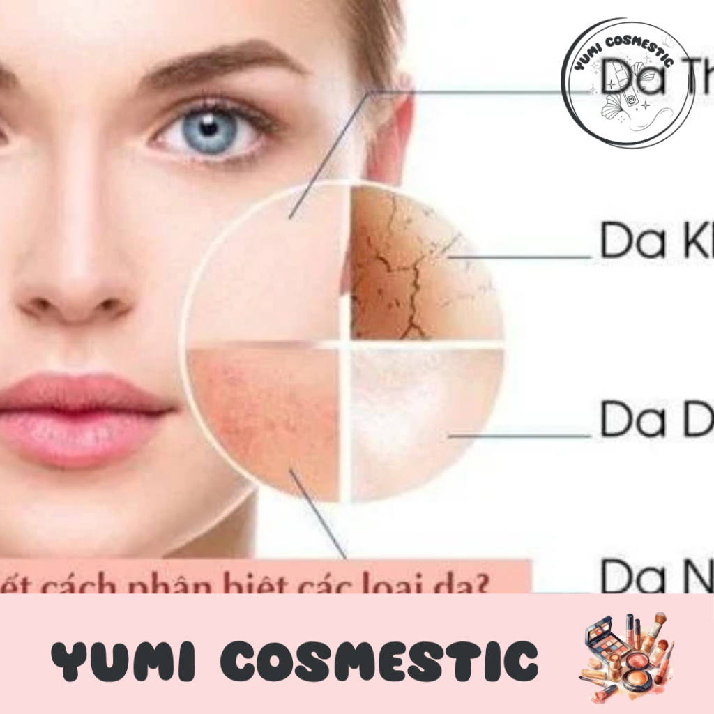 Phân loại các loại da phổ biến hiện nay
